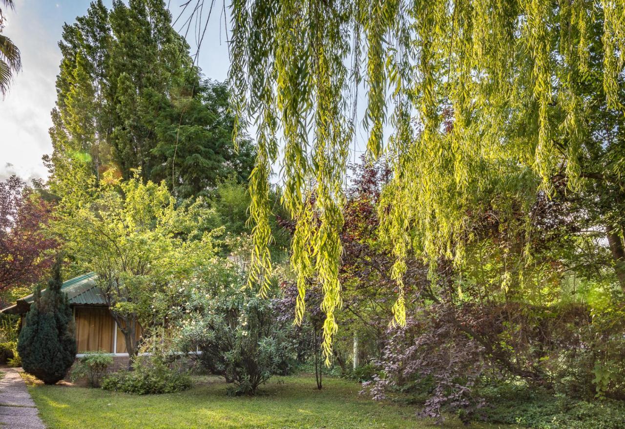 Alquiler Temp "Una Pausa" Barrio Privado En Vistalba 门多萨 外观 照片